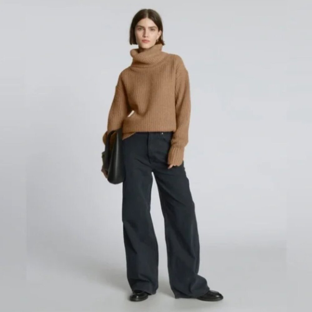 Everlane Alpaca Oversized Turtleneck Sweater (Size S)